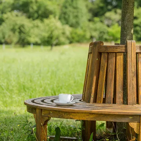 Premium Im Gustav Seitz Gaestehaus *